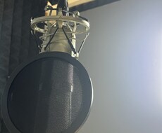 仮歌やります イメージ1