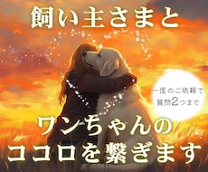 愛犬と飼い主様の心を繋ぎたい。ワンコと話します タロット・ダウジング・アニコミの３本柱で愛犬の気持ちを深堀り