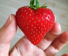 体などについてお話聞きます イメージ1
