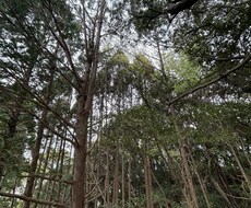 風景や少し洒落た感じの写真を提供しようと思います イメージ1