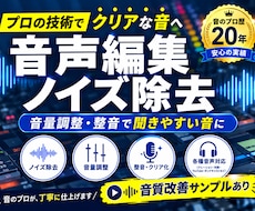 舞台音響歴20年｜音声を聞きやすく自然に整えます イメージ1