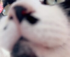 現役学生があなたの愚痴や悩みを優しく聞きます イメージ1