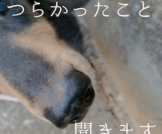 双極性障害の当事者があなたの話を聞きます イメージ1