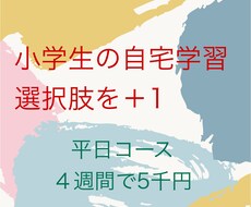 4週間小学生本人の勉強相談にチャット対応します