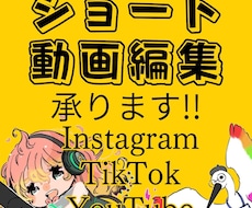 インスタ等SNS用ショート動画作成を承ります イメージ1