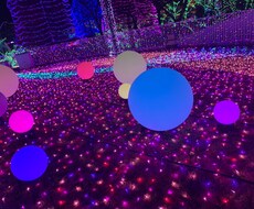 デートプラン提供、告白アドバイスなどします イメージ1