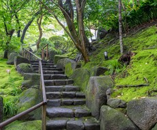 仕事と才能の魂路未来設計をいたします イメージ1