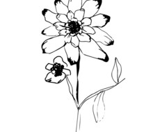 線画のみのお花の絵描きます イメージ1