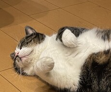 喋りたい相手致します イメージ1