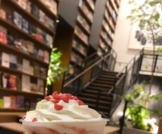 貴方の作品に感想を書かせていただきます 甘口〜辛口評価、あなたの気になる点があればアドバイスもします