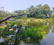話だけでなく一緒に考えて具体的な答えを探します イメージ1