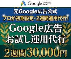 元Google公式が初期設定＋2週間運用代行します 【初回限定お試し】元公式コンサル６年超のプロがアカウント構築