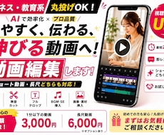 ビジネス・ショート動画を高品質編集します イメージ1