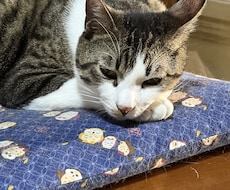 愚痴や思いをお聞きします イメージ1