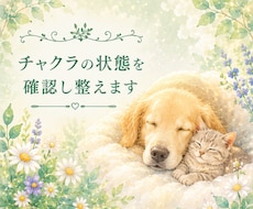 ペットさんのチャクラ状態を確認し整えます イメージ1