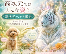 ペットの本当の姿　携帯待ち受け画像つくります スターシード向け　高次元ガイド鑑定