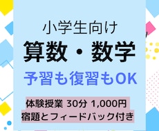 体験授業割引！小学生に算数・数学のレッスンをします 前の学年に戻った“復習”・先取り“予習”も対応可能です！