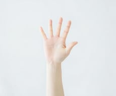 あなたの手相を占います 人間関係や出会い、適職や健康状態など鑑定！