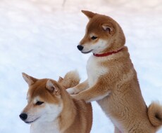 元不登校相談員！お話聞きます イメージ1