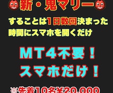 バイナリーオプションの相談、ツールが買えるサイト | ココナラ