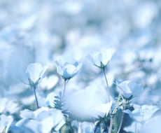 写真を提供いたします ブログやコラム記事などで写真素材が必要な方へ。
