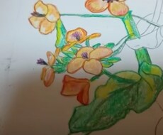 色えんぴつでの絵を描きます イメージ1