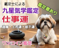 九星気学で仕事運の総合鑑定を行います イメージ1