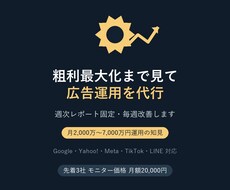 粗利最大化まで見て広告運用を代行しますます イメージ1