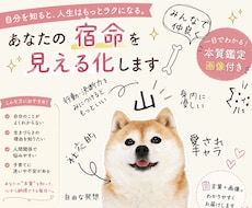 あなたの宿命を画像でわかりやすく提供します イメージ1