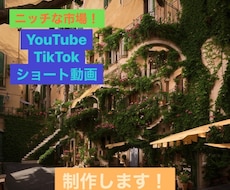 隠し絵トリックアート風SNSショート動画を作ります イメージ1