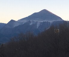 なにをつけていいかわからないひとにおすすめします イメージ1