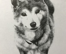 筆ペンで大切なペットの似顔絵を心を込めて制作します 大切なペットなどの肖像画がほしい方へ