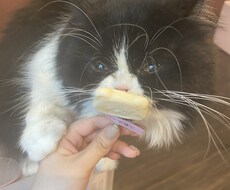 お気軽に雑談ができます イメージ1