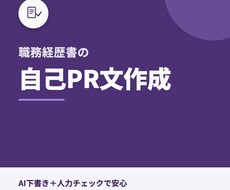 履歴書・職務経歴書の自己PR文を作成します イメージ1