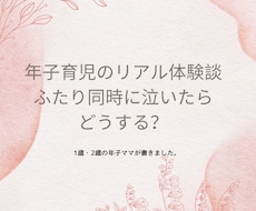 年子育児のリアル体験談記事を提供します イメージ1