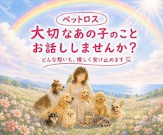 大切なあの子への想いに、そっと寄り添います イメージ1