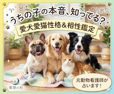 愛犬愛猫の性格鑑定＆飼い主様との相性鑑定します イメージ1