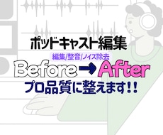 ポッドキャスト音声をプロ品質に編集します イメージ1