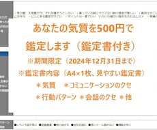 500円で個性鑑定書を進呈（お試し版）します イメージ1