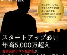 お試し版！これするだけ成功へ導く開業サポートします イメージ1