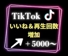 TikTokのいいね＆再生回数5000〜増やします