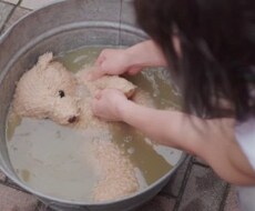 のんびり おしゃべりします イメージ1
