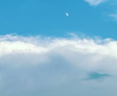 自分を知りたい方へ【西洋占星術】で占います イメージ1
