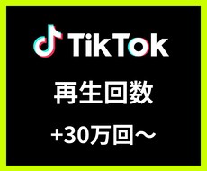 TikTok再生回数＋30万回〜増やします 【安心安全の30日間保証付き】【振り分け可能】