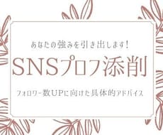 あなたの強みを活かし、SNSプロフ添削します 【性格診断×Twitter】でフォロワーを増やしませんか？