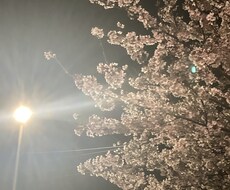 1時間　あなたの友達になります イメージ1