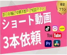 ショート動画3本/ゆっくりプランで編集します ＊60秒以内の編集価格/Instagram・TikTok等