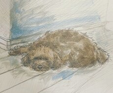 イラストや似顔絵、デザイン描きます イメージ1