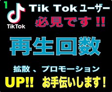 TikTok再生回数といいねをプロモーションします イメージ1