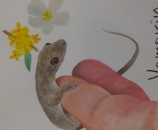多種多様のペットの似顔絵描きます イメージ1